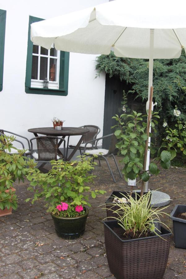 Eifelperle Appartement *
