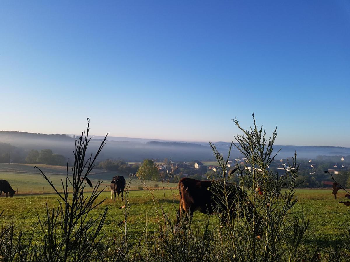 Eifelperle * Blankenheim (North Rhine-Westphalia)