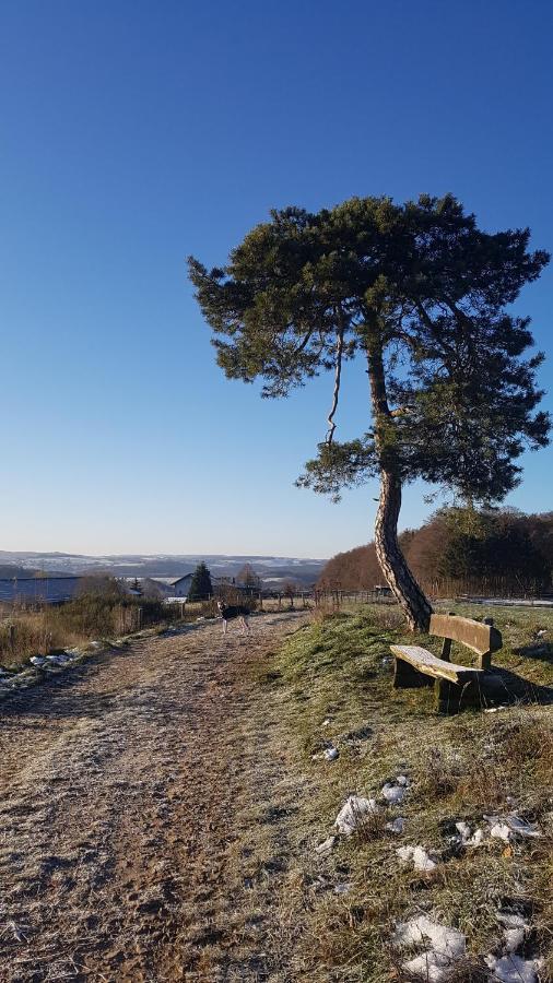 Eifelperle * Blankenheim (North Rhine-Westphalia)